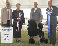 Best in Show 2013