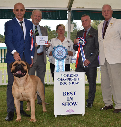 Best in Show Image