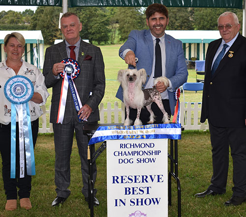 Reserve Best in Show Image